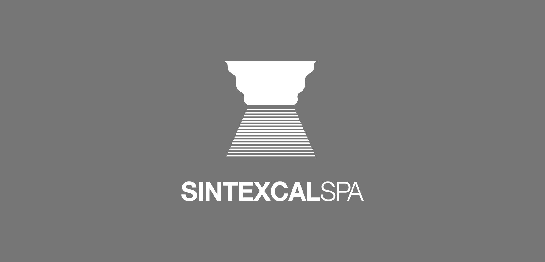logo sintexcal